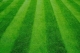 Synthetic Lawns Florida  Synthetic Grass